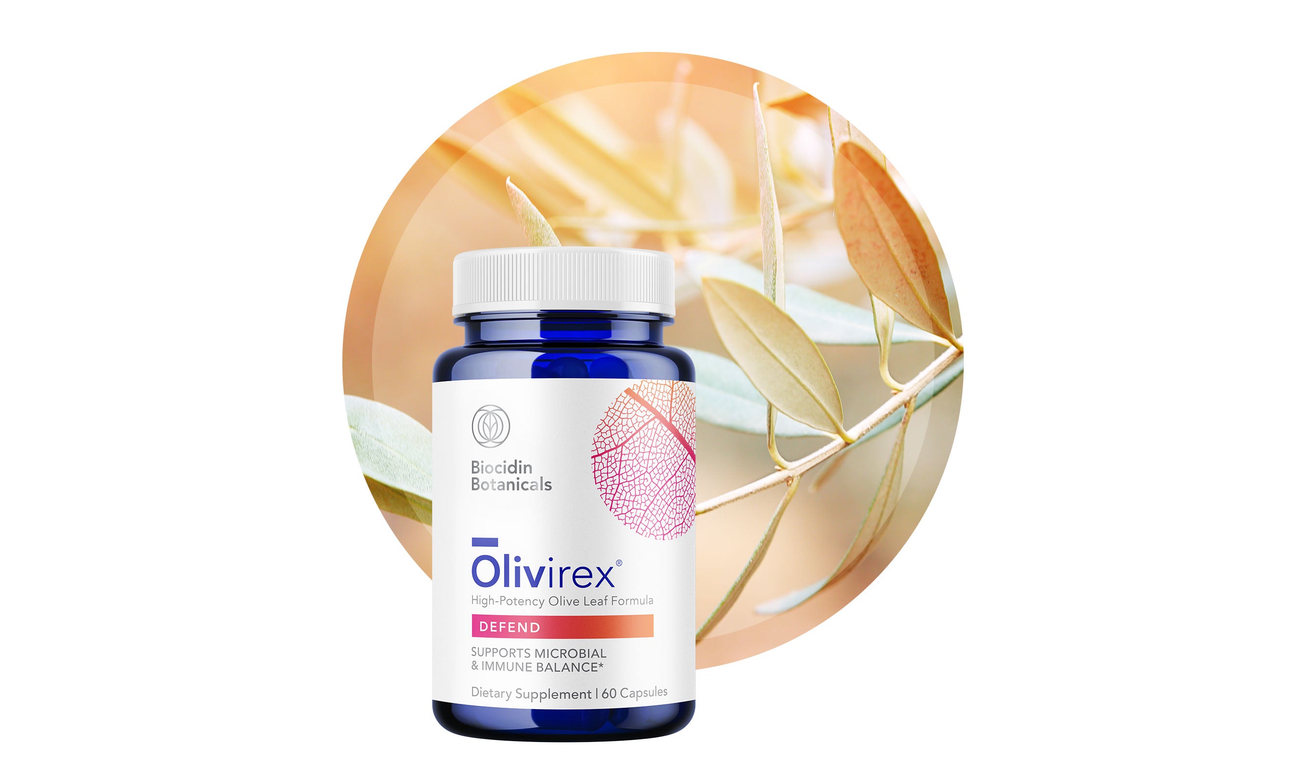 <p>Features</p> - Mobile image