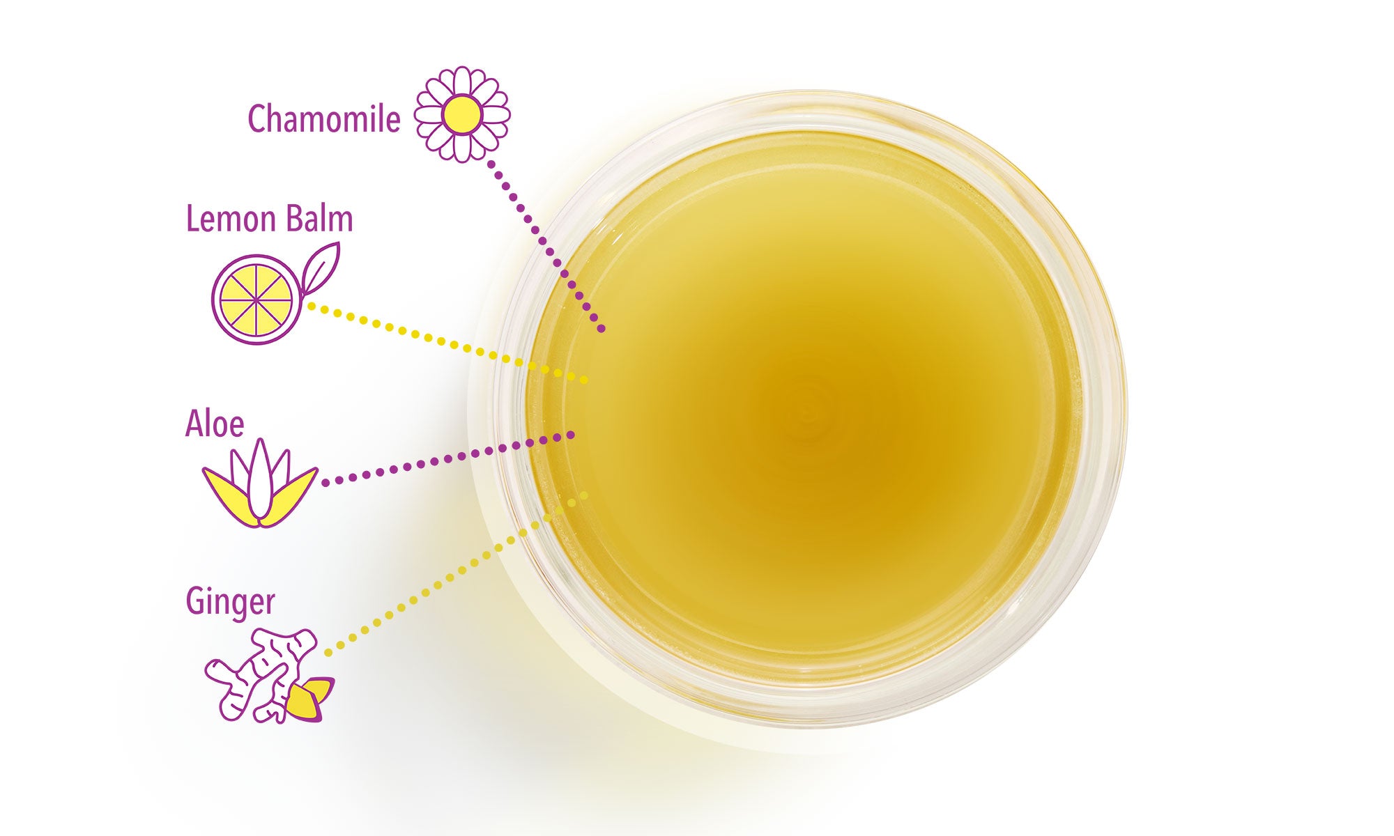 <p>What your gut needs now</p> - Mobile image