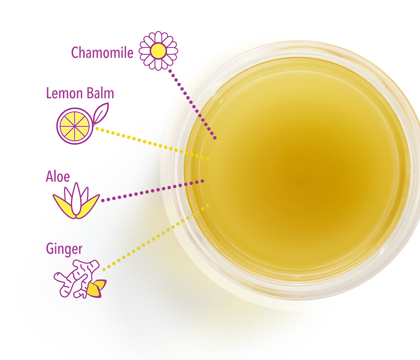 <p>What your gut needs now</p>