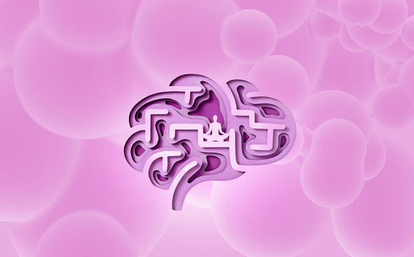 The Gut-Brain Axis: Bridging Microbes, Mood, and Mental Health