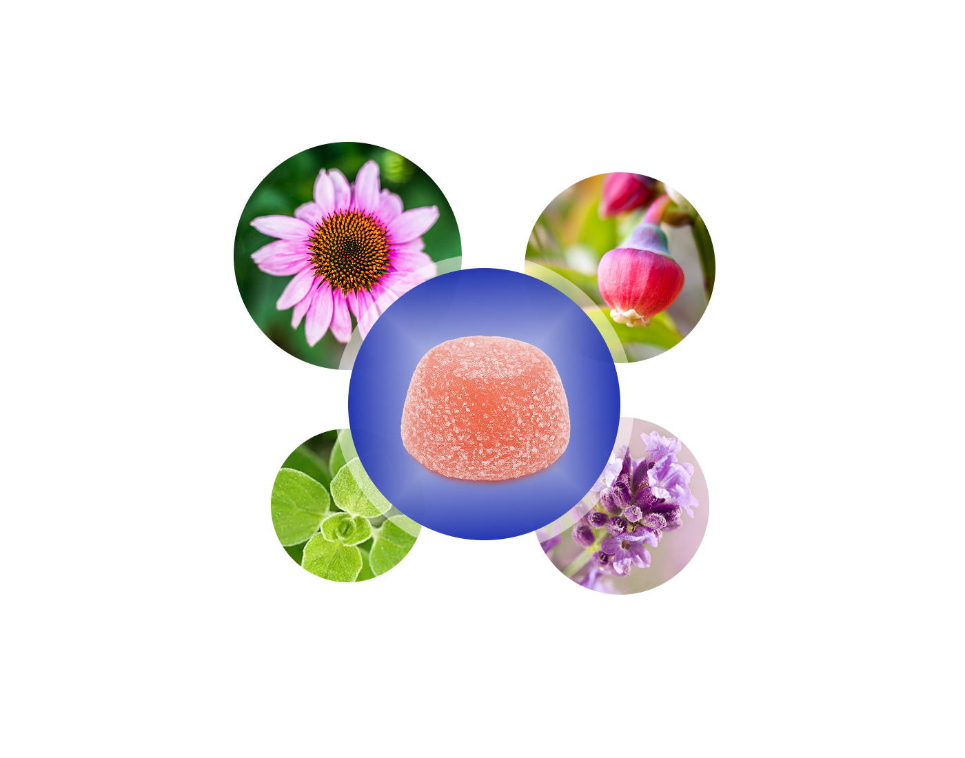 <p><strong>How it works</strong></p><p>Botanical intelligence in every bite </p>