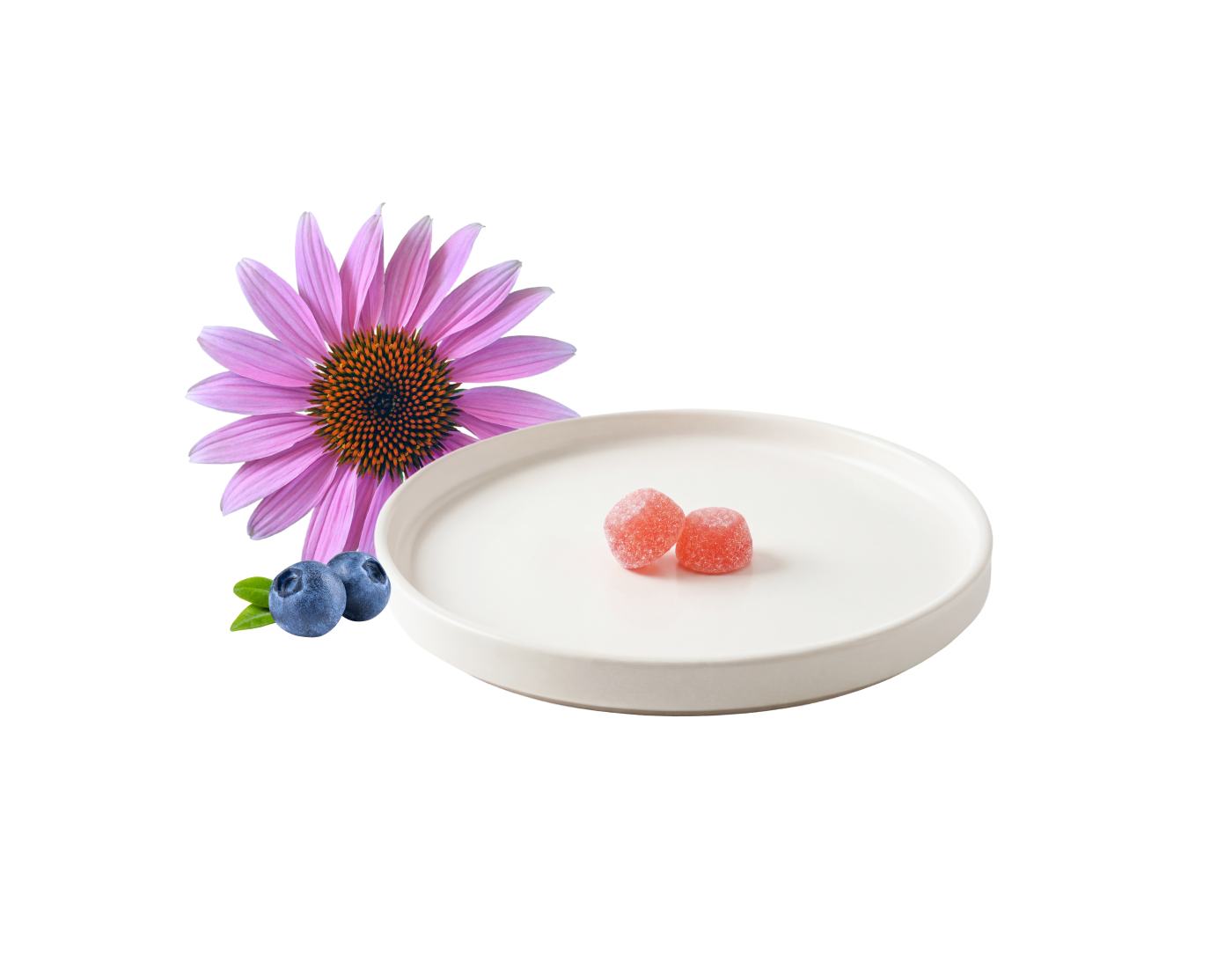 <p><strong>How to take Biocidin Gummies</strong></p><p><em>Your new daily microbiome ritual</em></p>