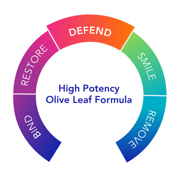 Olivirex® - High Potency Olive Leaf Formula